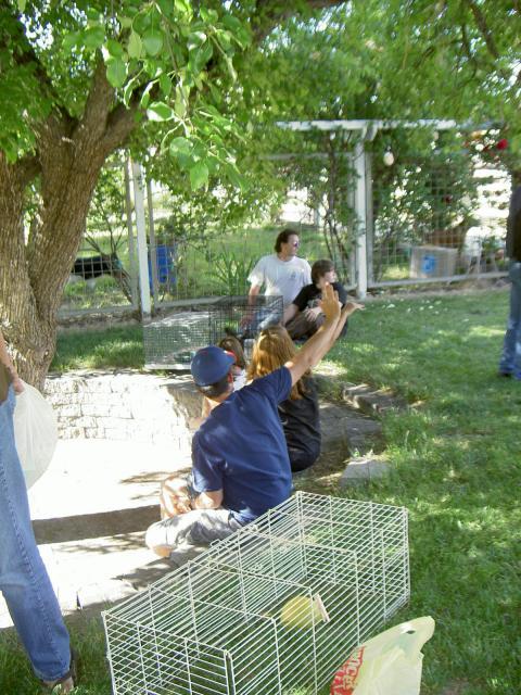 18671_pict4159.jpg