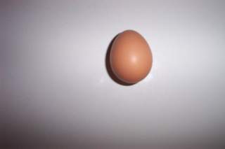 18786_egg_003.jpg