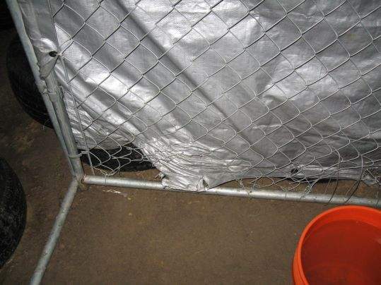 18812_kennel.jpg