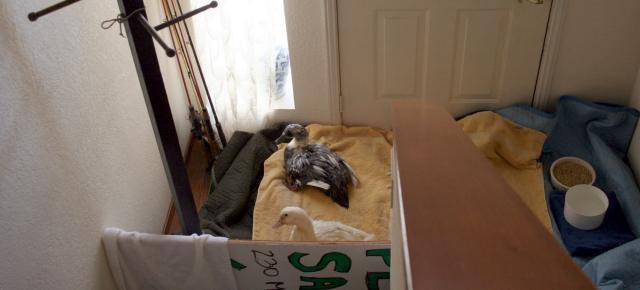 18_inside_002.jpg