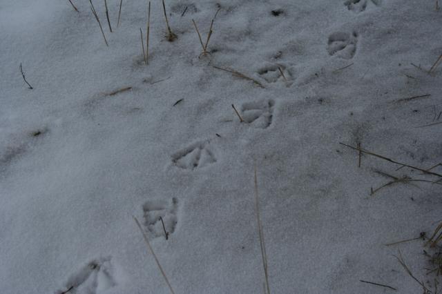 18_jan_1_020.jpg