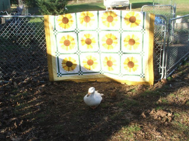 18_sunflower_quilt_002.jpg