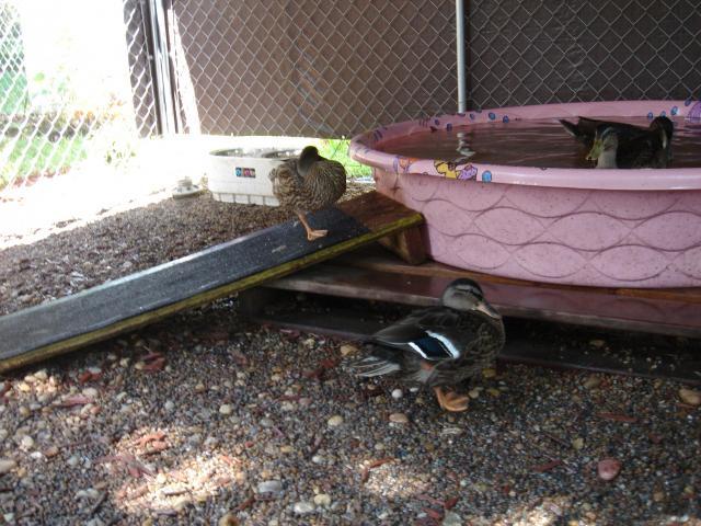 19025_007.jpg