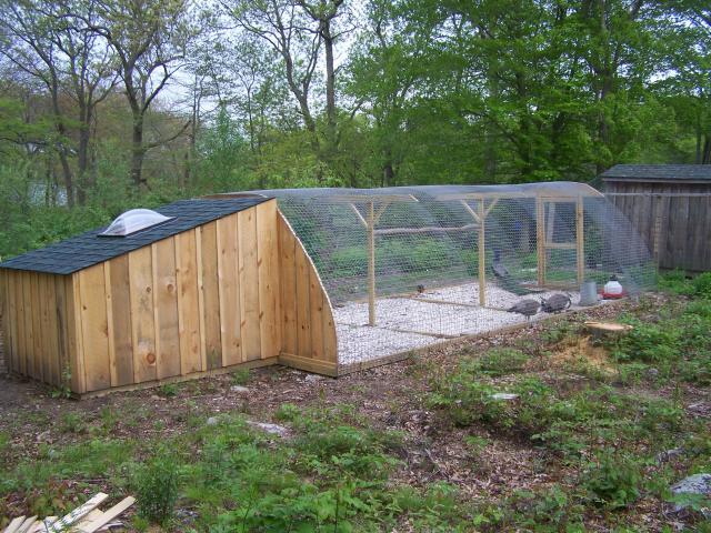 Pictures of your peacocks pens? BackYard Chickens