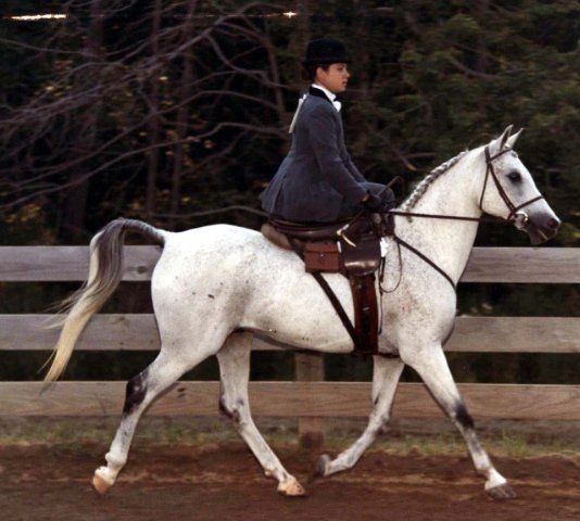 19064_copy_of_sidesaddle_grey_suit.jpg