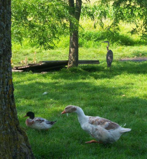 19130_100_1359.jpg