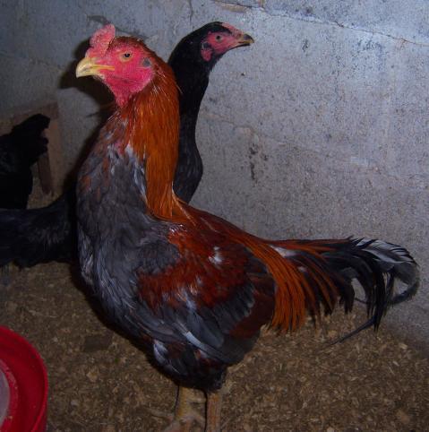 19130_100_1565.jpg