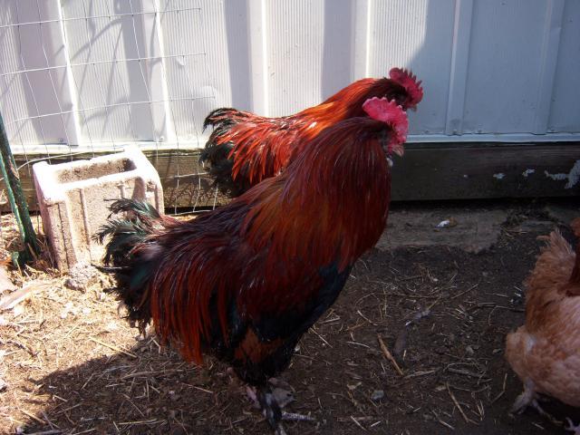 19130_4-23-09_149.jpg