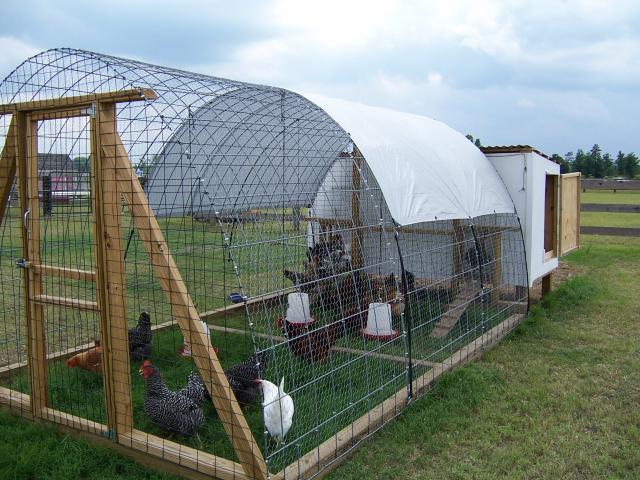 19143_100_1327.jpg