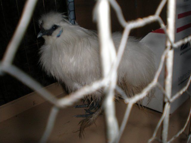 19299_p1010455.jpg