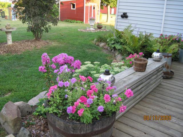 19308_aaa_026.jpg