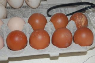 1930_picture_087.jpg