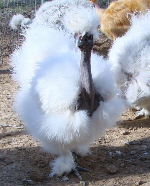 19329_3-2-10_029.jpg