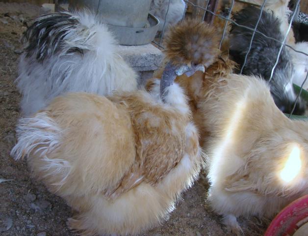 19329_3-2-10_043.jpg