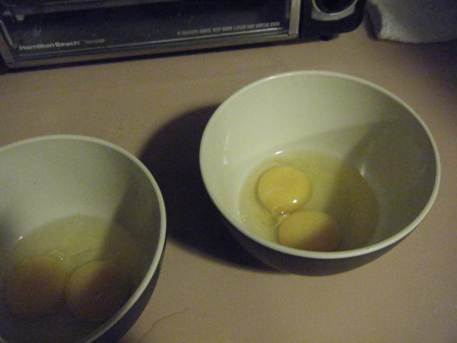 19343_bantam_chicks_028.jpg