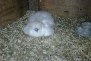 19371_sammiebroody-042410.jpg