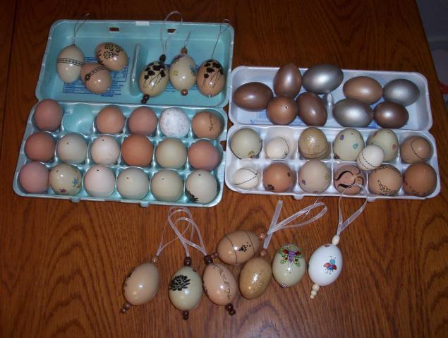 19545_picture_1256.jpg