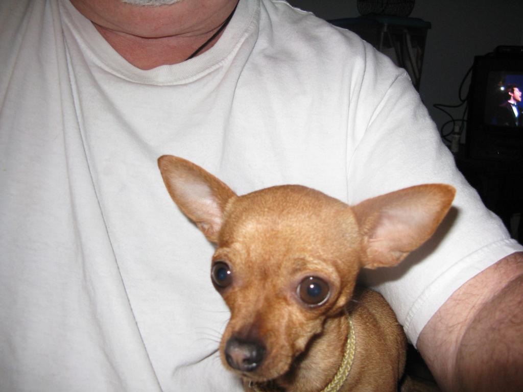 19588_cat_003.jpg