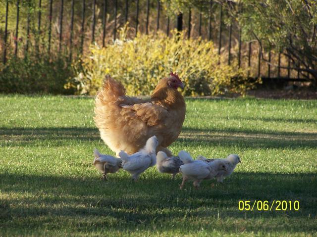 19636_101_0527.jpg