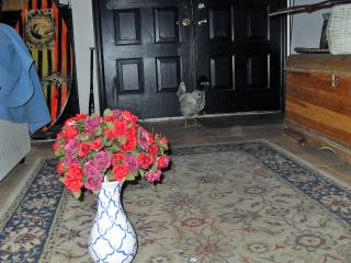 19686_sdc10028_edited-1.jpg
