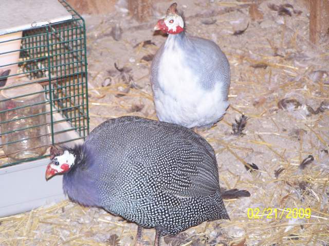 19733_100_5646.jpg
