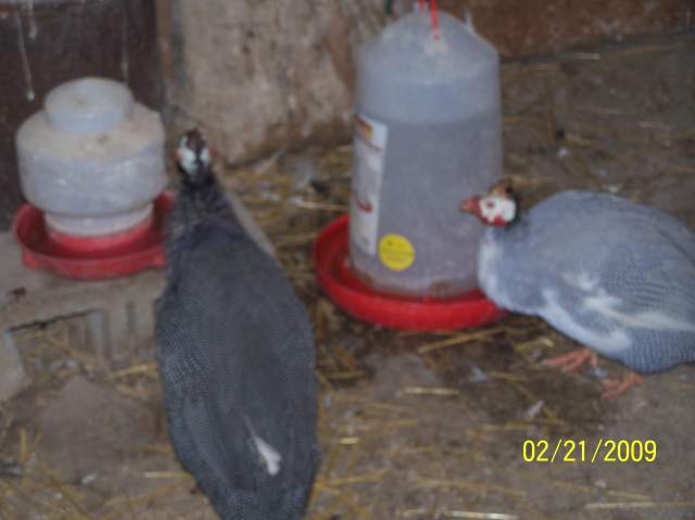 19733_100_5649.jpg