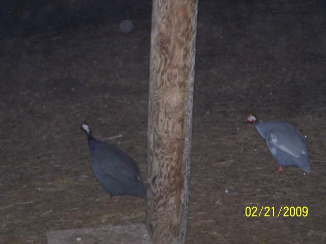 19733_100_5660.jpg