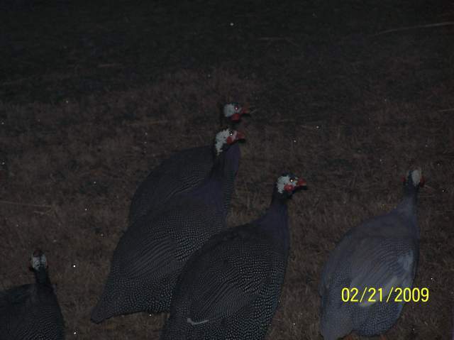 19733_100_5662.jpg