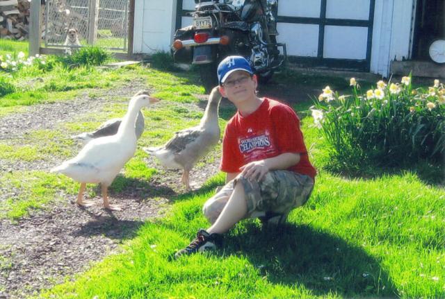 19822_dougie_and_geese.jpg