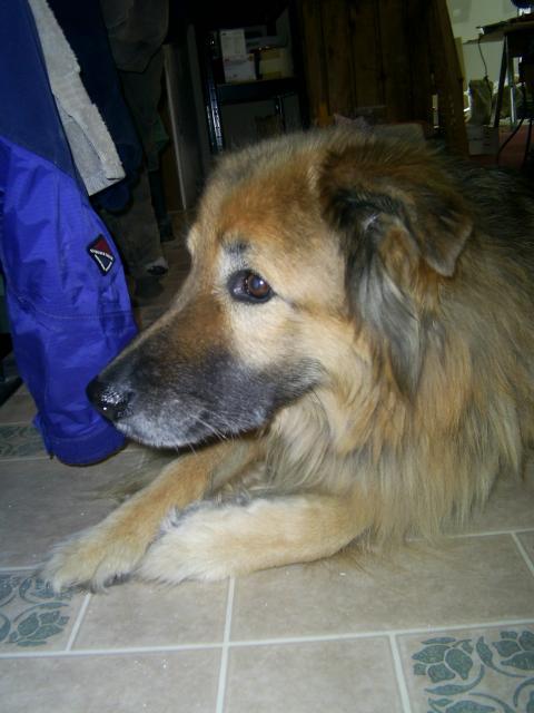 19857_all_our_pictures_576.jpg