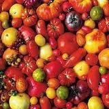 19857_heirloom_tomatoes_sse.jpg