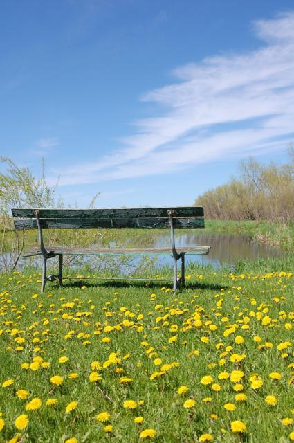 19857_pond_seat.jpg
