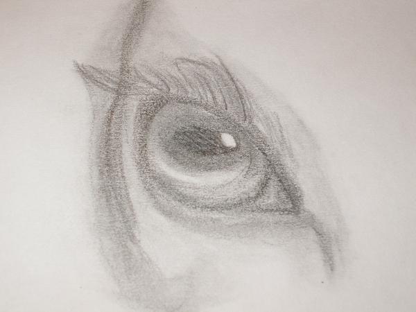 19889_horses_eye.jpeg
