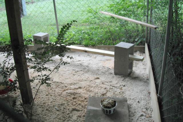 19926_new_perch.jpg