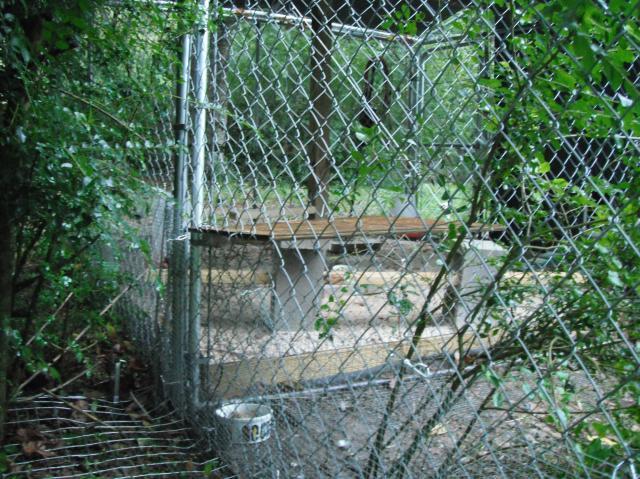 19926_shelter_1.jpg