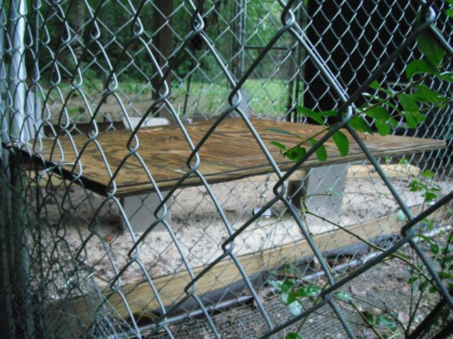 19926_shelter_2.jpg