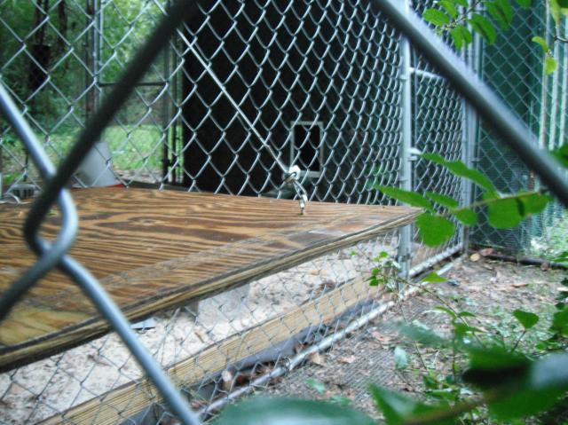 19926_shelter_3.jpg