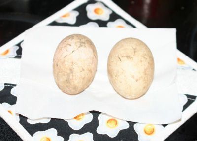 1996_duckeggs.jpg