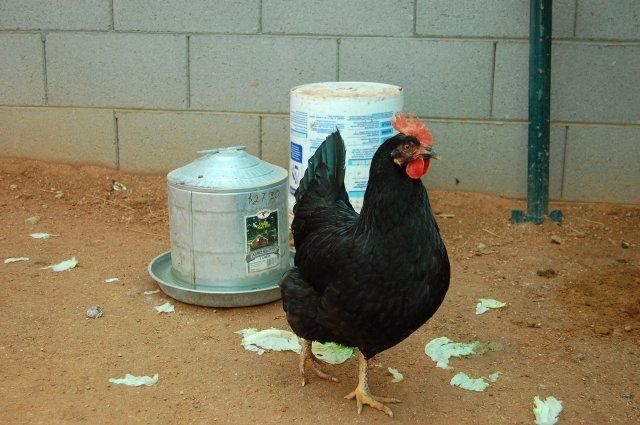 20002_dsc_6412.jpg