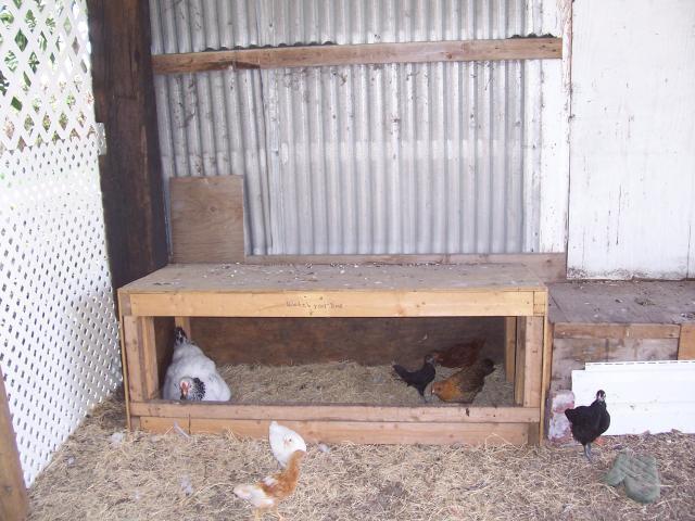 20013_gross_003.jpg