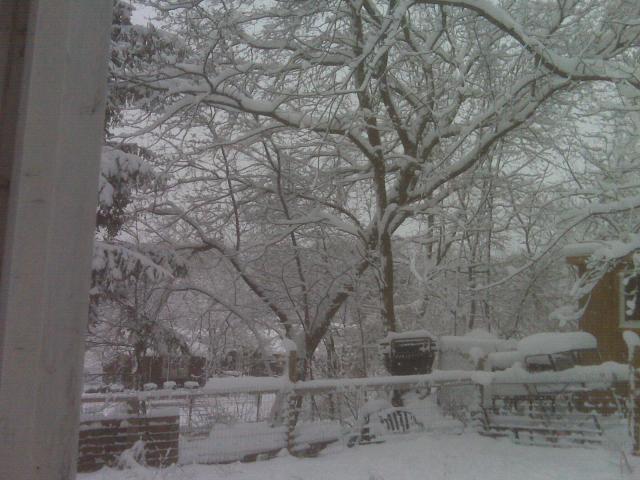 20051_snow.jpg