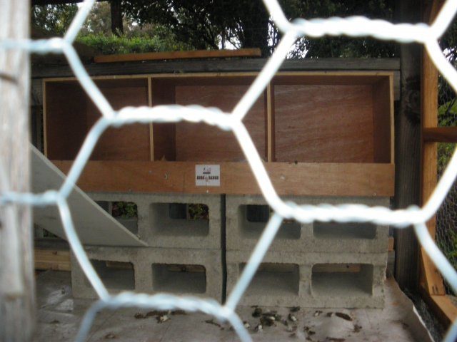 20054_imgp0010.jpg