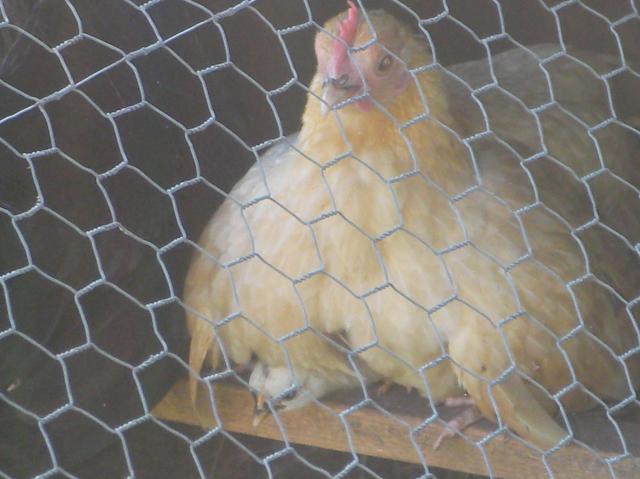 20124_sany0739.jpg