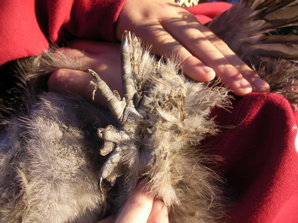 20124_sany1189.jpg