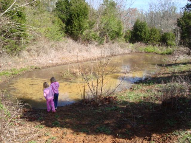 20210_pond.jpg