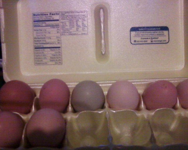 20212_eggs.jpg