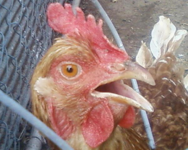 20212_photo-0039.jpg