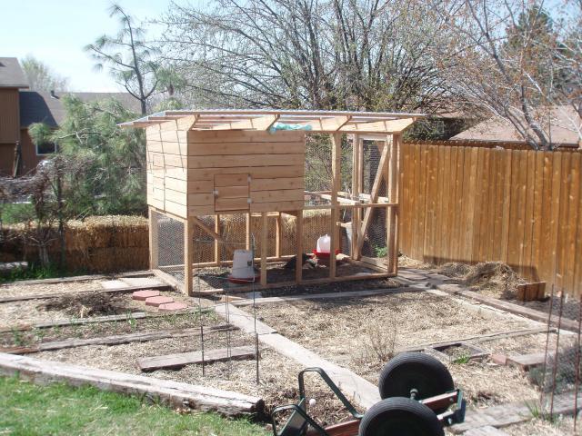 20276_p1010001.jpg