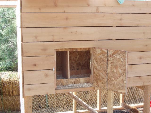 20276_p1010007.jpg