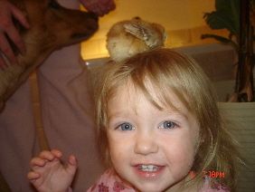 20286_abbi_with_chick_on_her_head.jpg